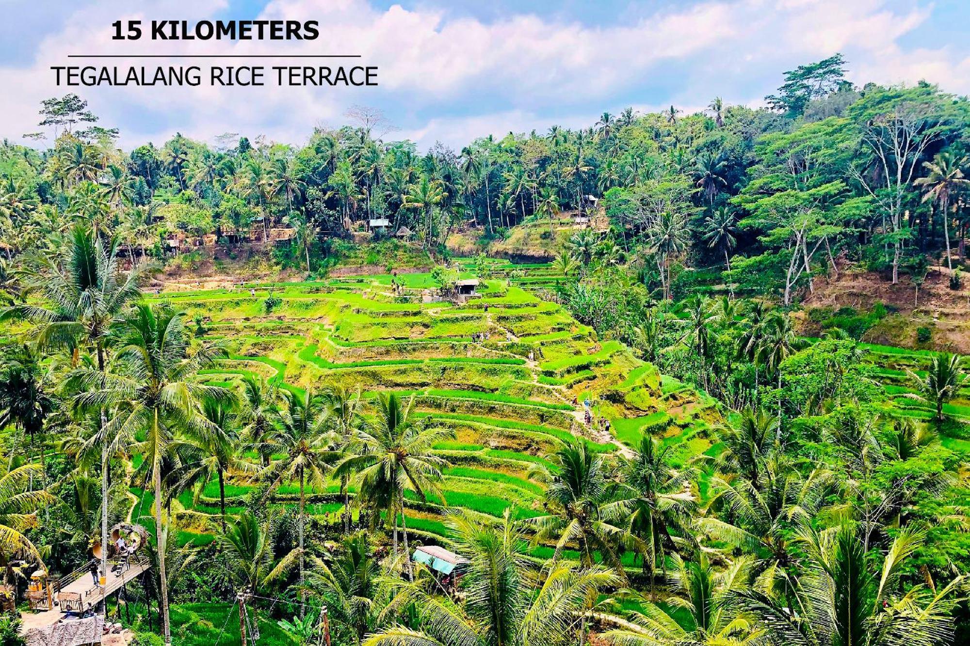 Green Flow Ubud Villas III Luaran gambar