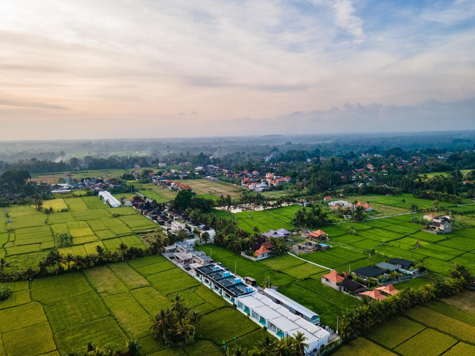 Green Flow Ubud Villas III Luaran gambar